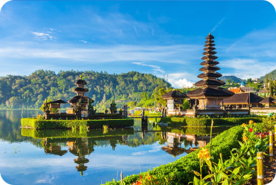 pink travels packages for Bali