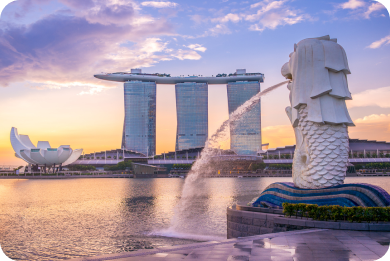 pink travels packages for Singapore